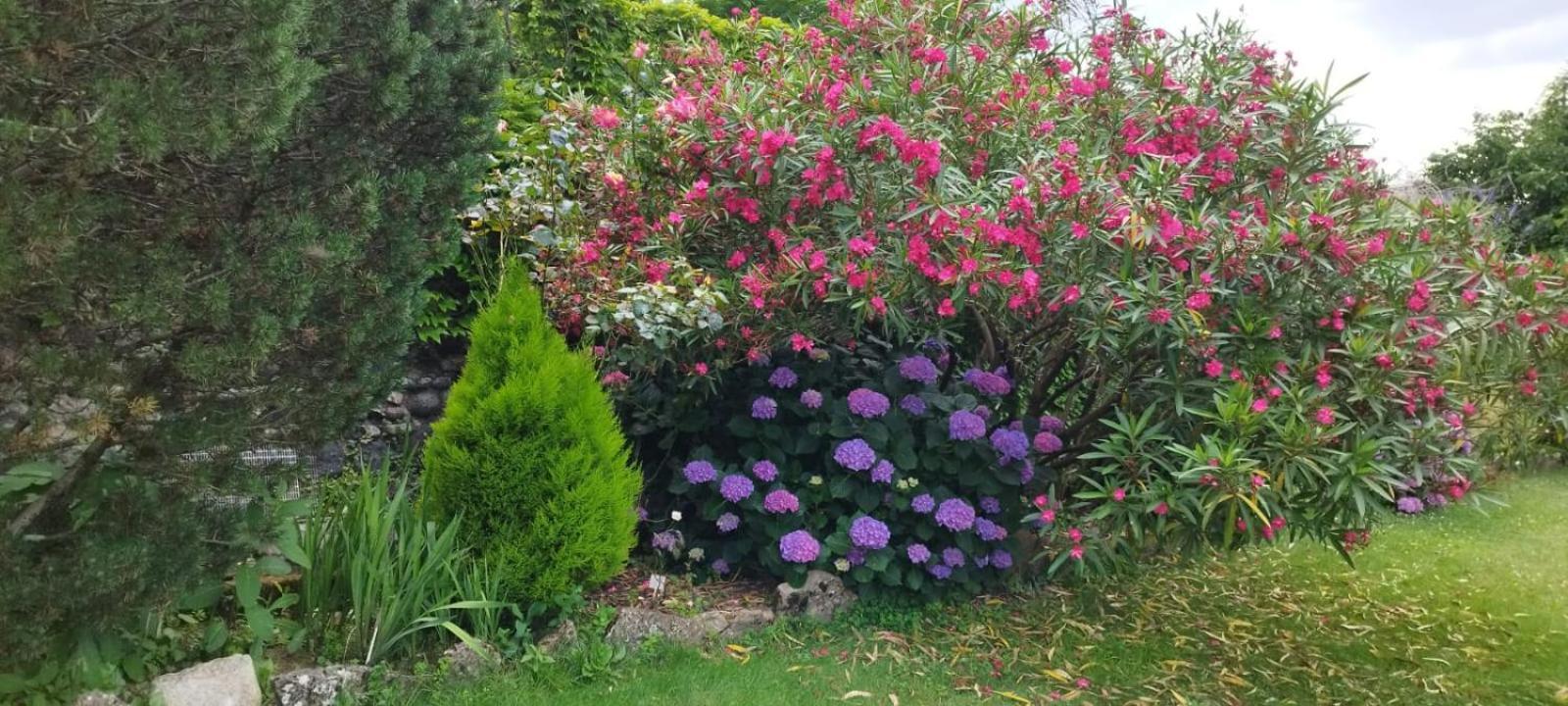Gite 5 "Le Laurus" Aux Magnolias โอเบอนา ภายนอก รูปภาพ