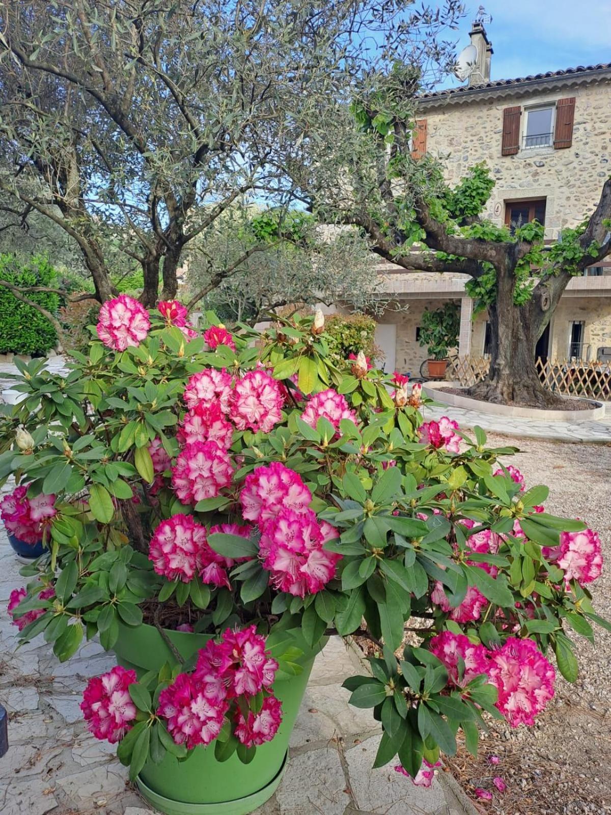 Gite 5 "Le Laurus" Aux Magnolias โอเบอนา ภายนอก รูปภาพ
