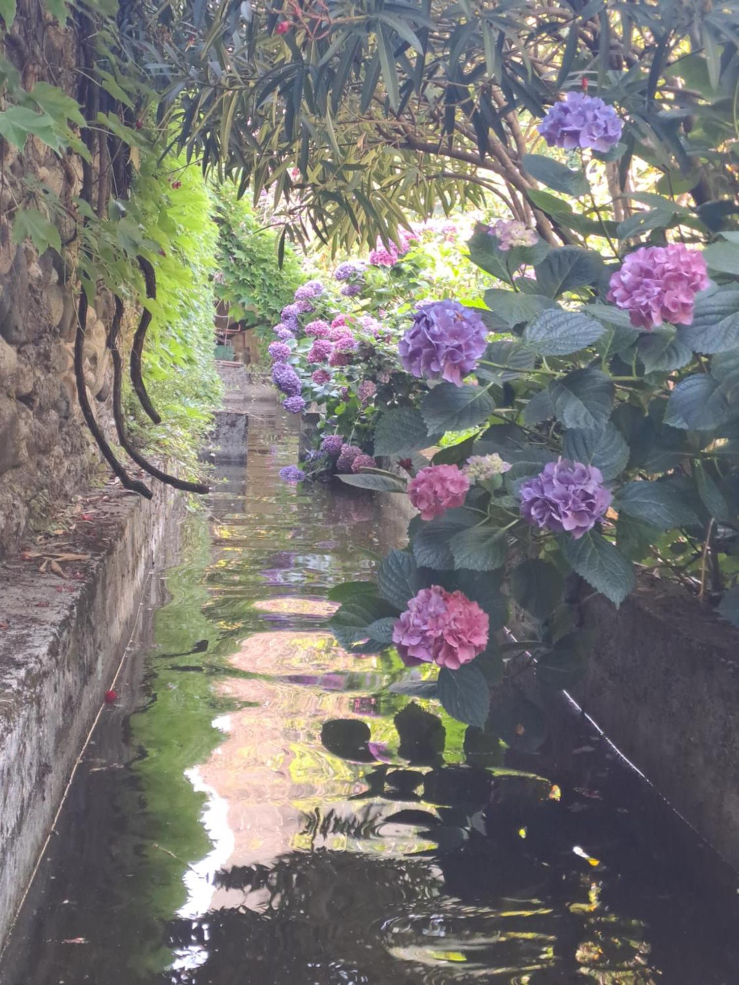 Gite 5 "Le Laurus" Aux Magnolias โอเบอนา ภายนอก รูปภาพ