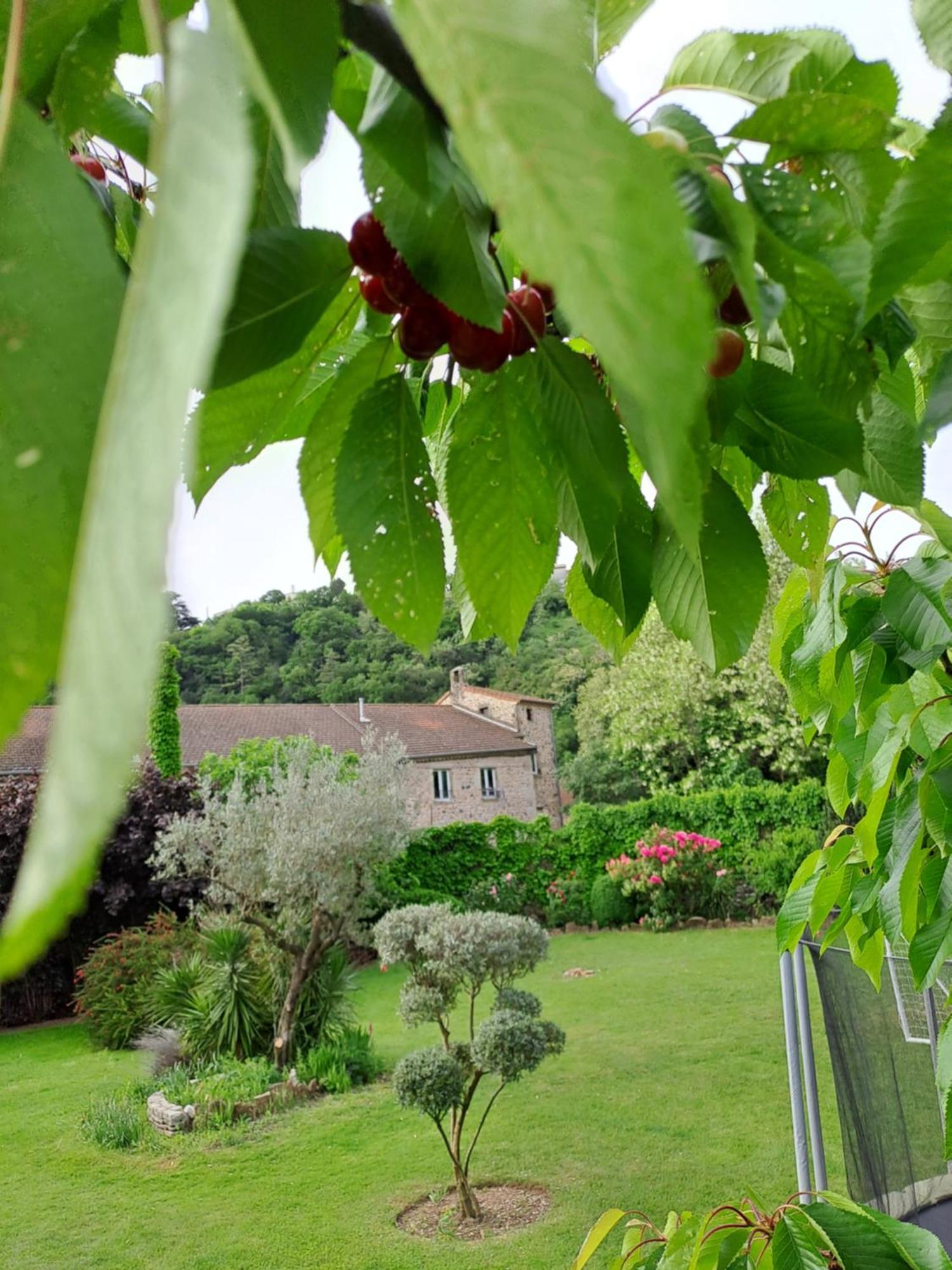 Gite 5 "Le Laurus" Aux Magnolias โอเบอนา ภายนอก รูปภาพ