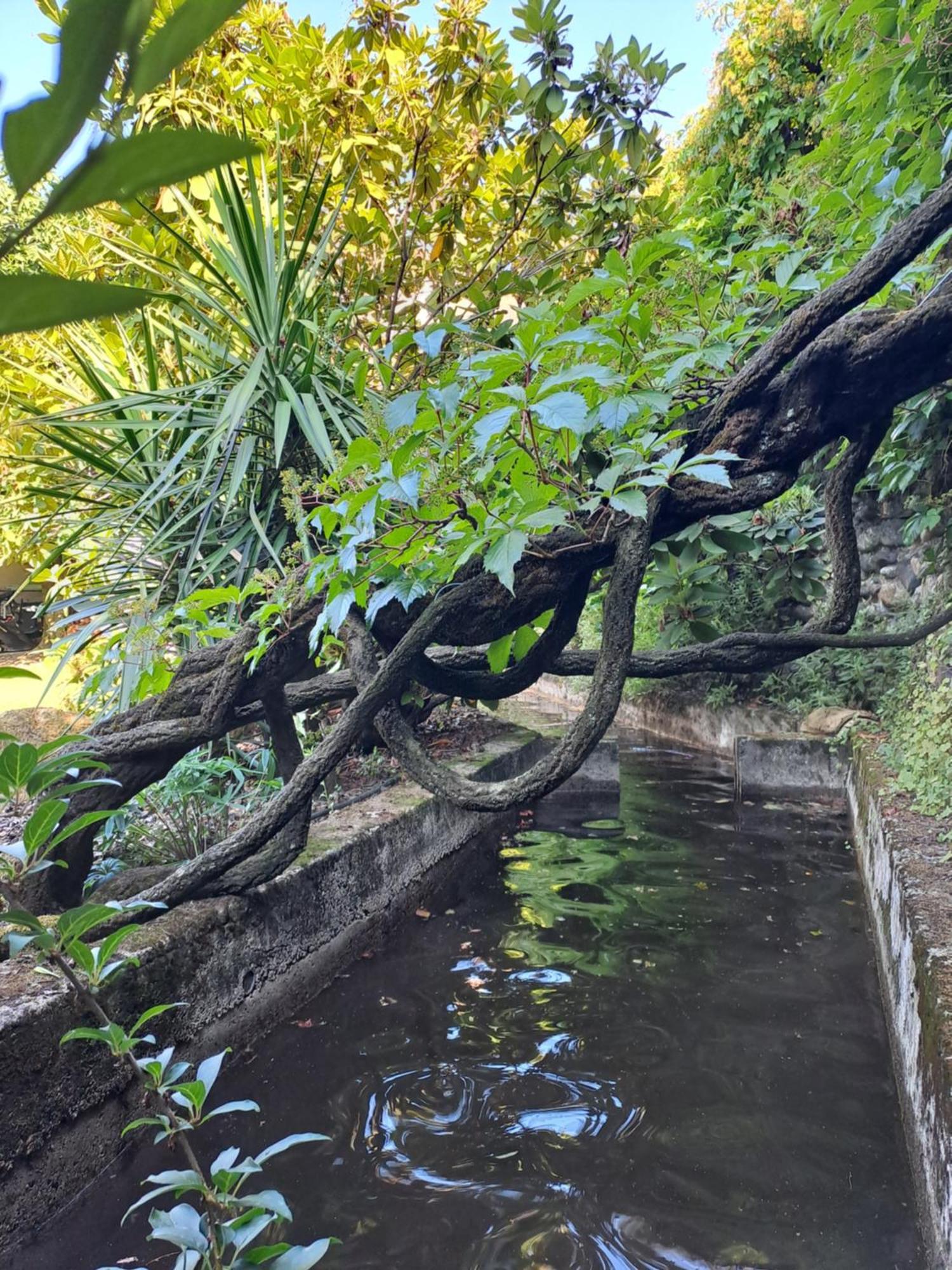 Gite 5 "Le Laurus" Aux Magnolias โอเบอนา ภายนอก รูปภาพ