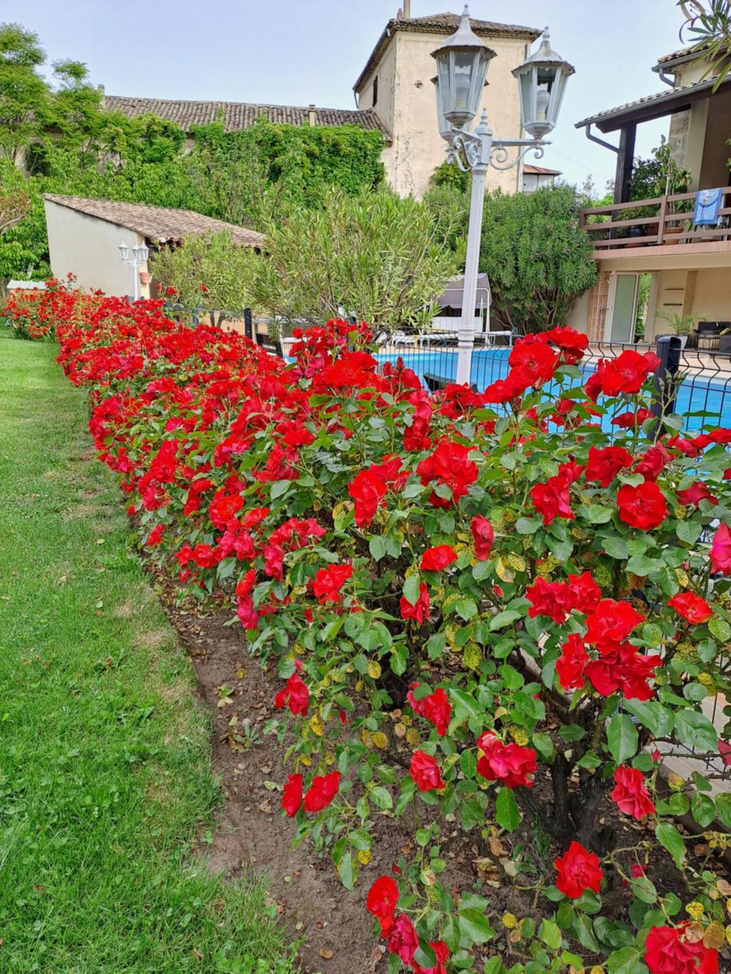 Gite 5 "Le Laurus" Aux Magnolias โอเบอนา ภายนอก รูปภาพ